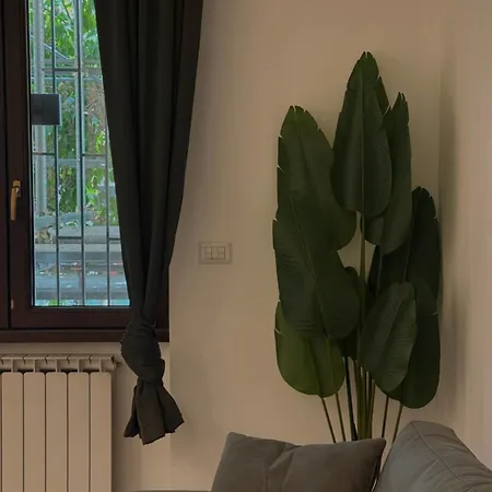 Iris - Urban